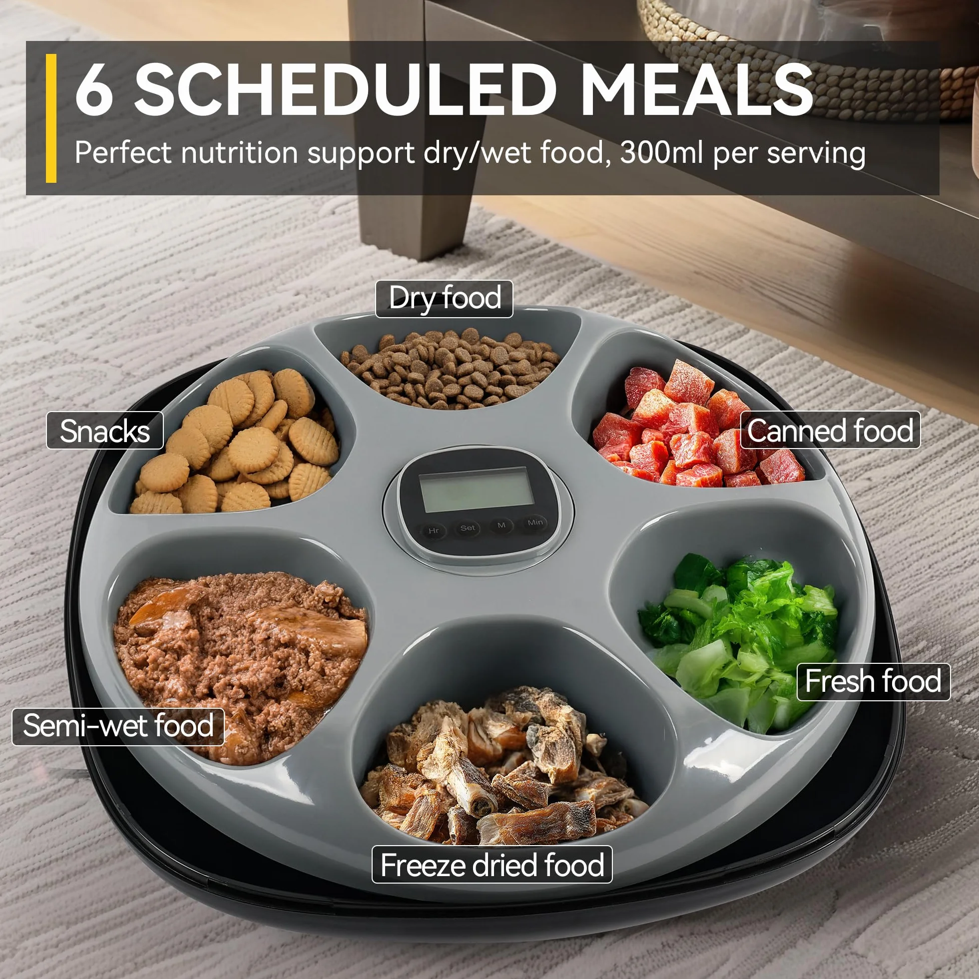 ALL FOR PAWS Distributeur Automatique de Nourriture sans Fil pour Chat 6 Repas, Accepte Nourriture Humide & Sèche, Rechargeable, Minuterie Programmable