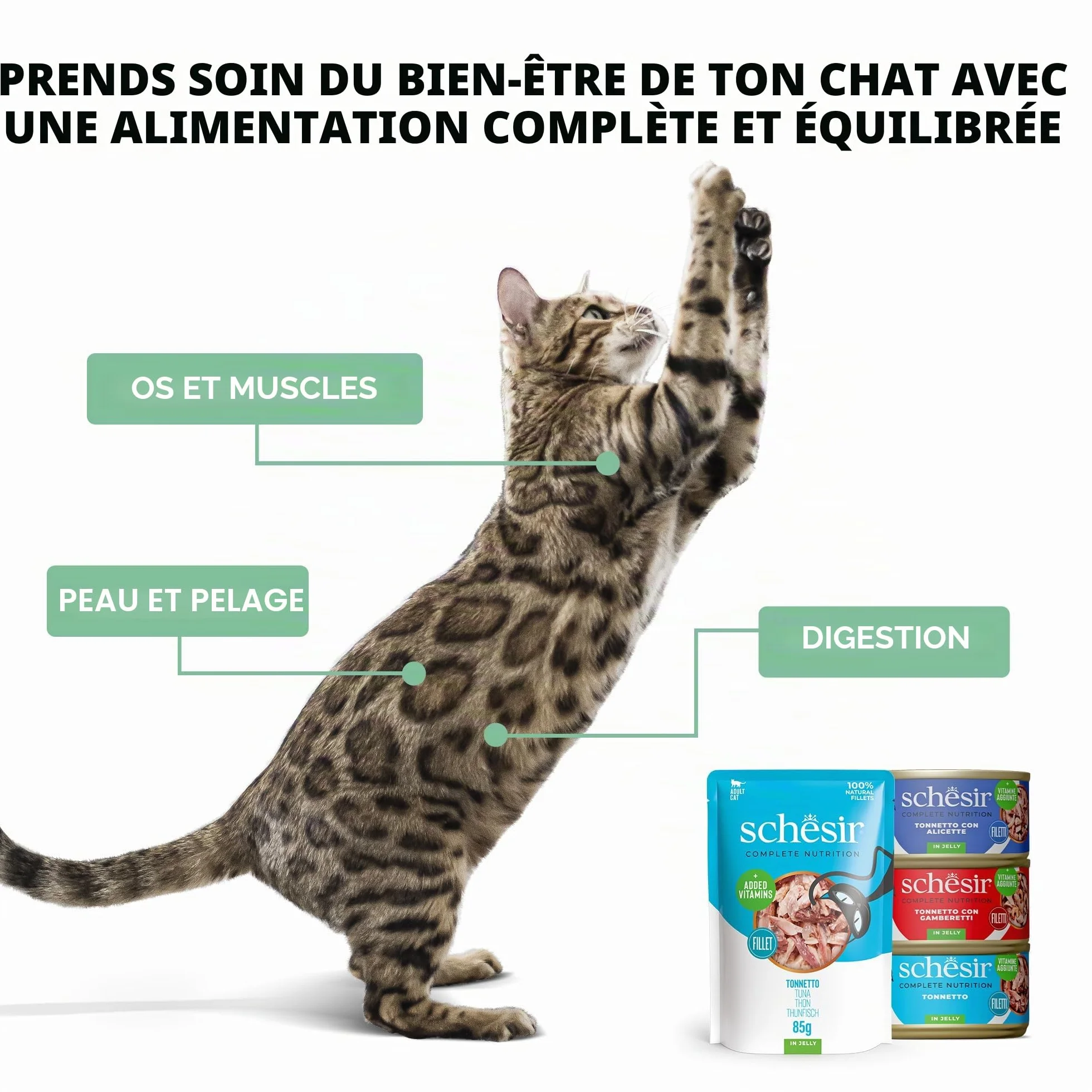 Schesir, Thon avec alicette en Bouillon, Nourriture Humide complète pour Chats, en Conserve, avec des vitamines supplémentaires, 100% Naturel, 6 x 85 g