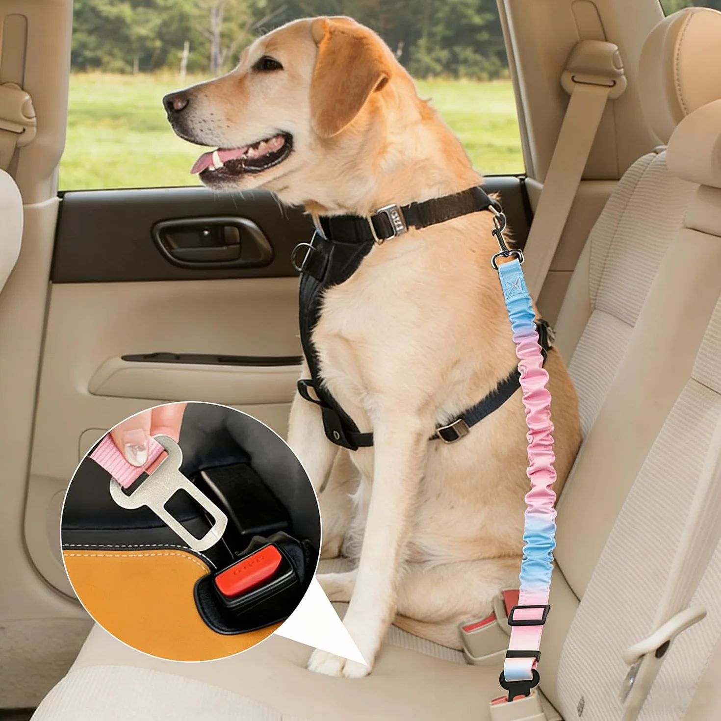 Réglable Ceinture Securite Chien Voiture - 1 Pièce, Bleu Rose Dégradé, Elastique Attache Chiens Voitures, Adaptée à Tous Les Types d'animaux et de Modèles de Véhicules