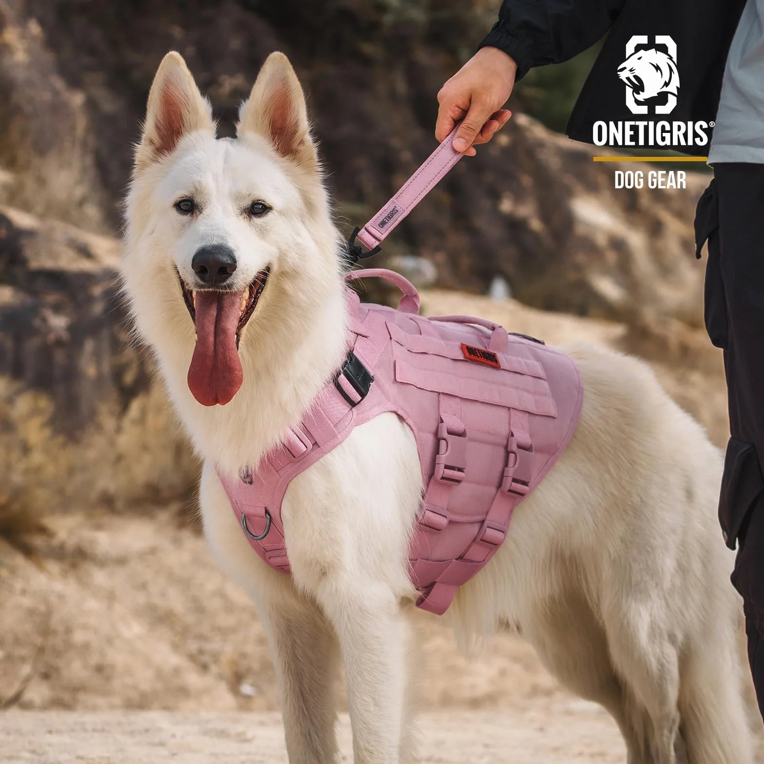 OneTigris Bolt Laisse courte pour chien 30 cm, denture de tigre en métal, rembourrage doux, réfléchissante, nylon, rose