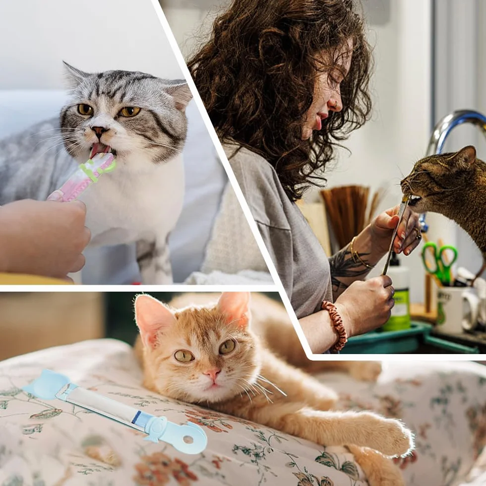 Mangeoires à Bande pour Chat en Forme de Poisson, Cuillère à Nourriture pour Animaux, Lot de 4 Pièces