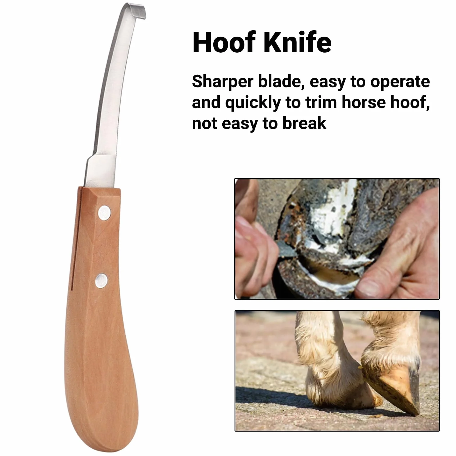 Outil de de Couteau de Sabot en Acier au Carbone de Forme de Lame Droite pour Utilisation de Cheval de Bétail (Main Droite)
