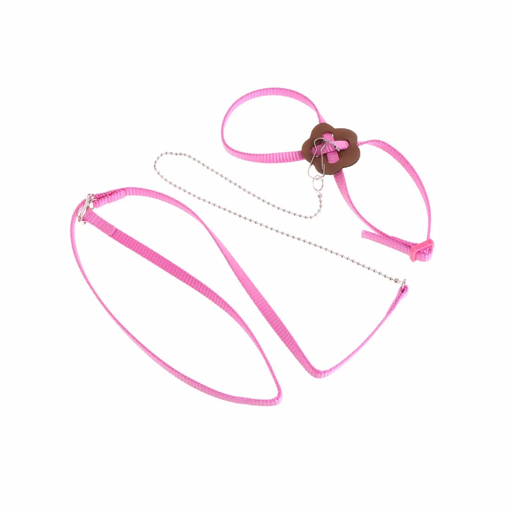 Harnais pour perroquet en nylon réglable anti-morsure pour petits oiseaux canaris conures
