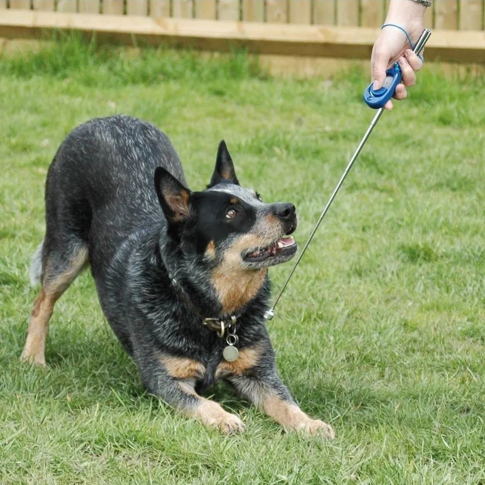 Multi-Clicker Company of Animals - Accessoire pour chien, contrôle du volume à 3 réglages, facile à cliquer, dragonne réglable, clicker pour chien, destiné au dressage, convient aux chiens et chiots