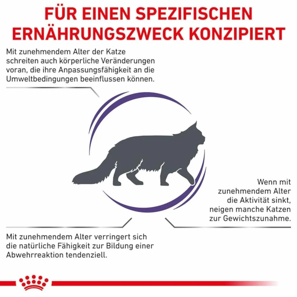 Royal Canin Expert Mature Consult Balance | 3,5 kg | Aliment complet pour Chats | À partir de 7 ans | Chats âgés stérilisés ou ayant tendance à prendre du poids