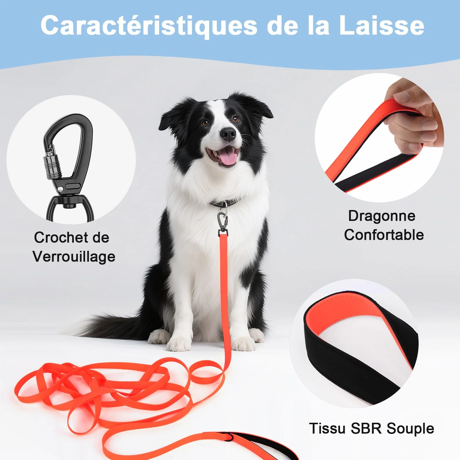 Longe pour Chien 1,8M-30M Laisse de Dressage étanche pour Chiens