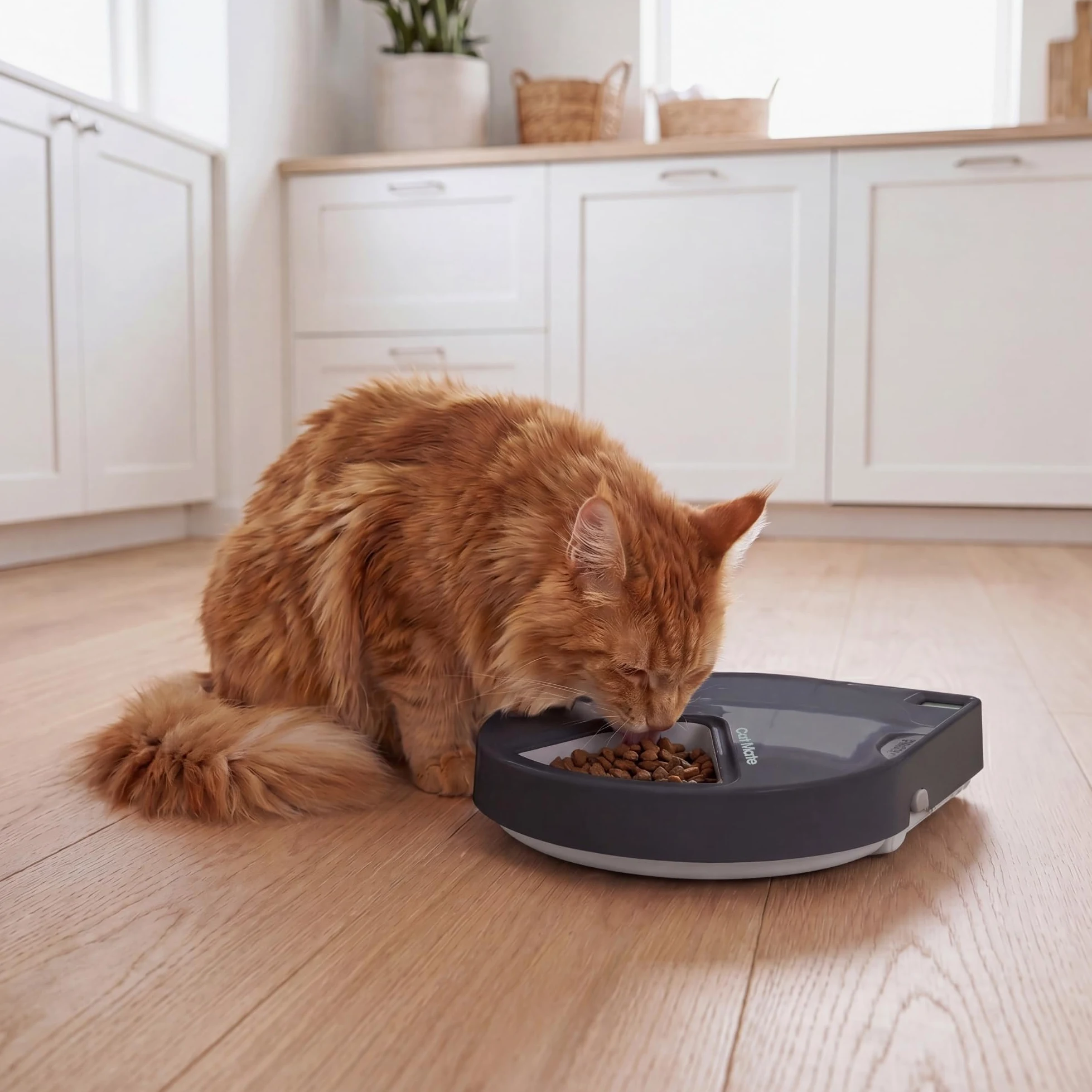 Closer Pets C500 Mangeoire automatique à 5 repas pour animaux de compagnie, avec gamelles en acier inoxydable, minuterie numérique et deux blocs de glace, pour nourriture humide et sèche, bols jusqu'à
