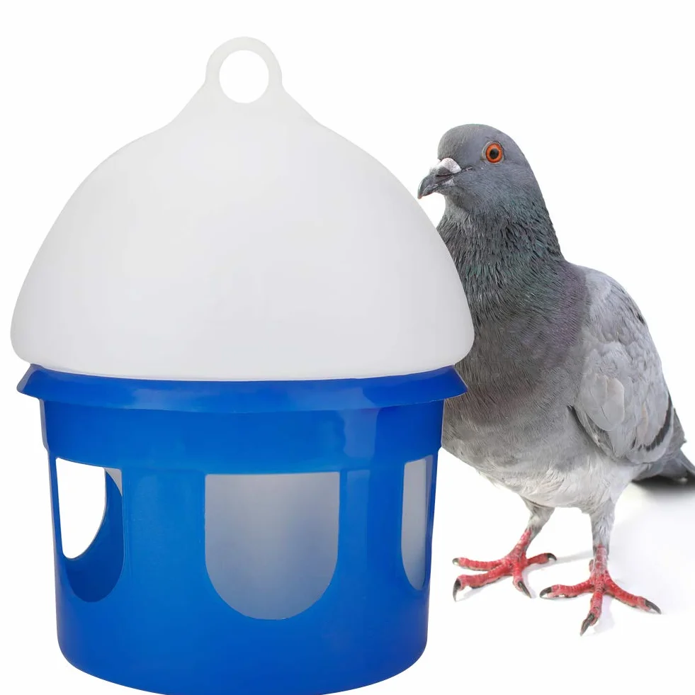 Abreuvoir pour Pigeons Grande capacité Connexion à Boucle Fendue 2L