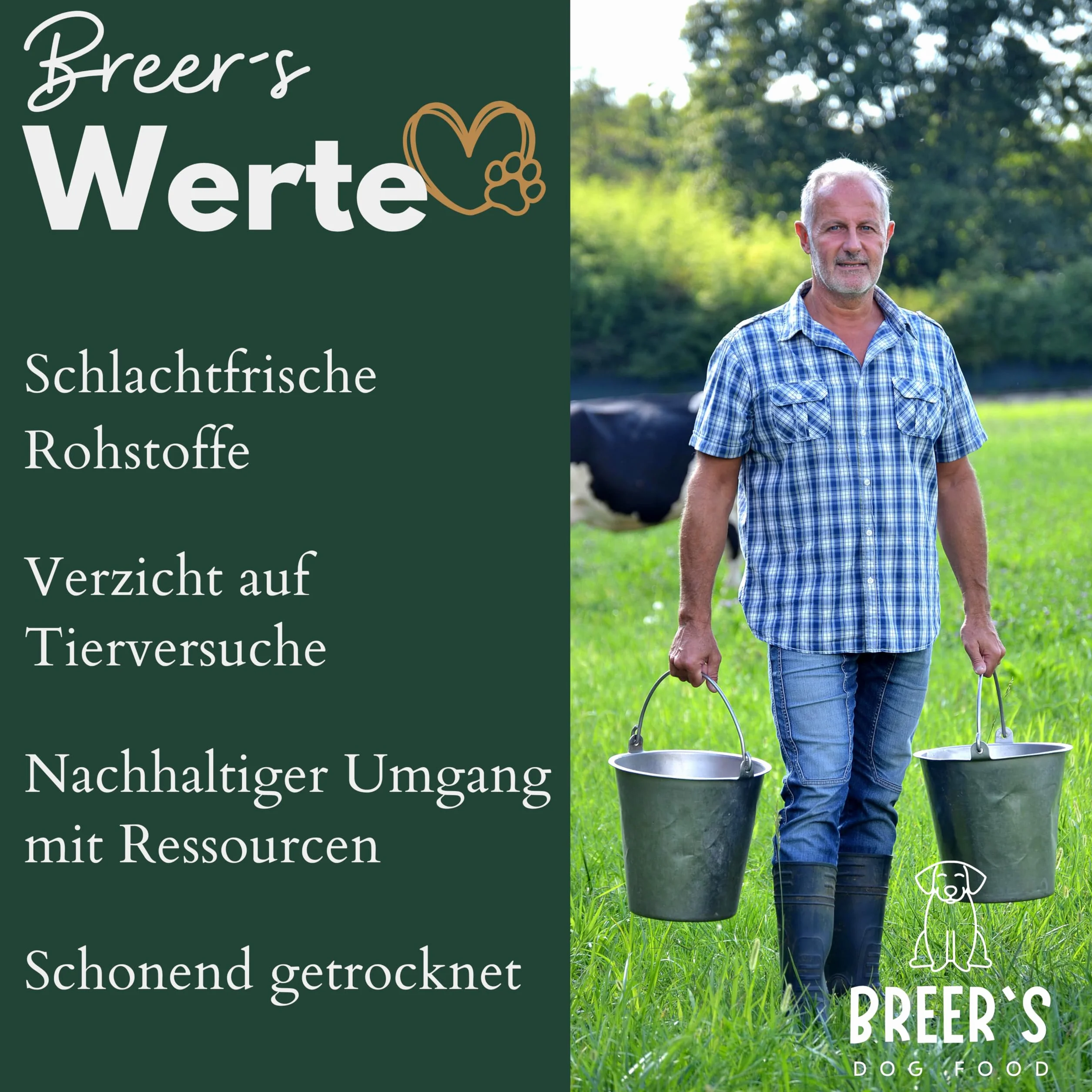 BREERs Oreilles de bœuf séchées avec coquillage pour chiens 2 kg