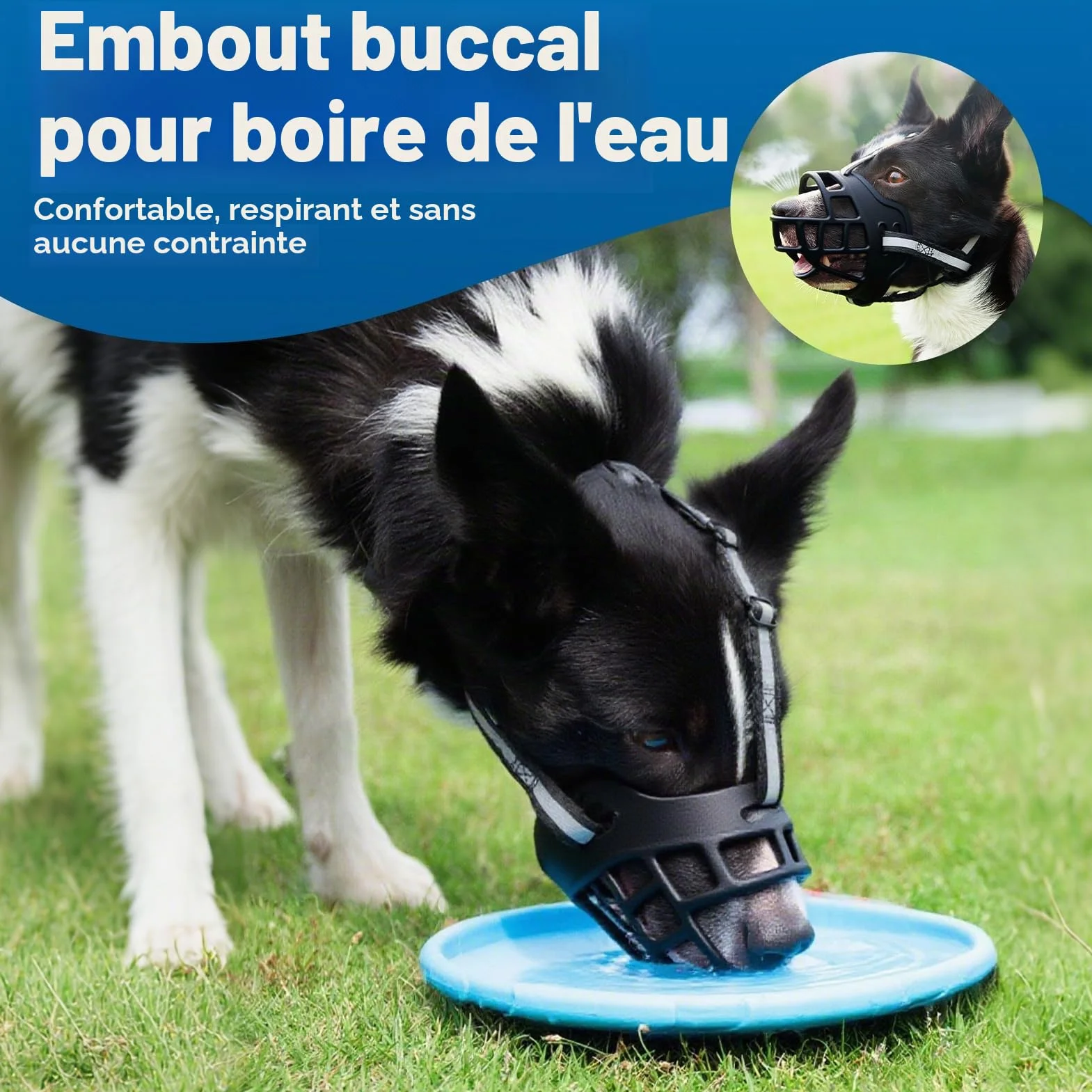Museliere pour Chiens, Museliere Chien Musoliaire Chien avec Sangles Réglables Museliere Anti Aboiement Mieux Prévenir Les Morsures Mâcher et Aboyer pour Petits Moyens Et Grands Chiens (Taille 3)