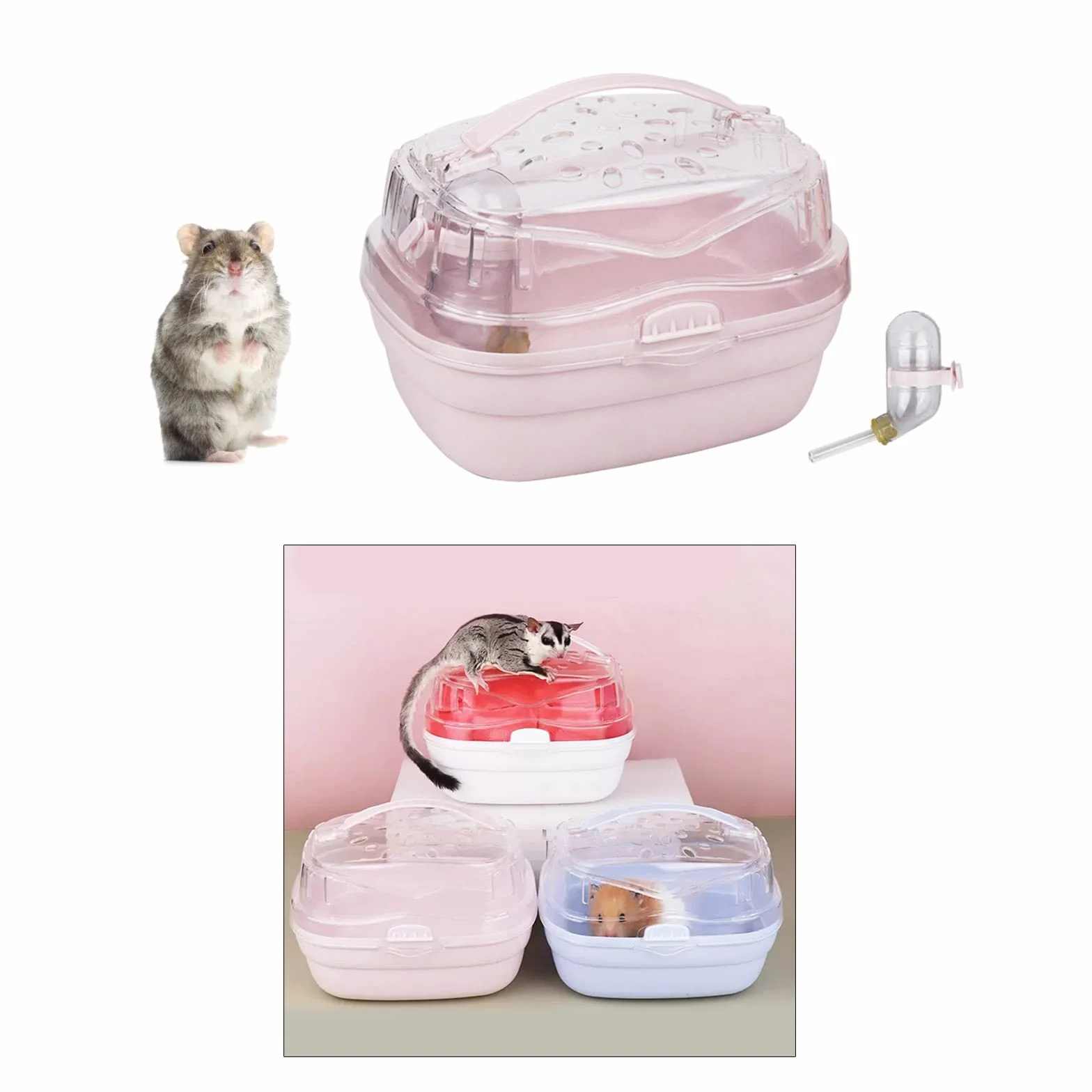 Caisse de transport pour hamster portable avec bouteille d'eau pour petits animaux