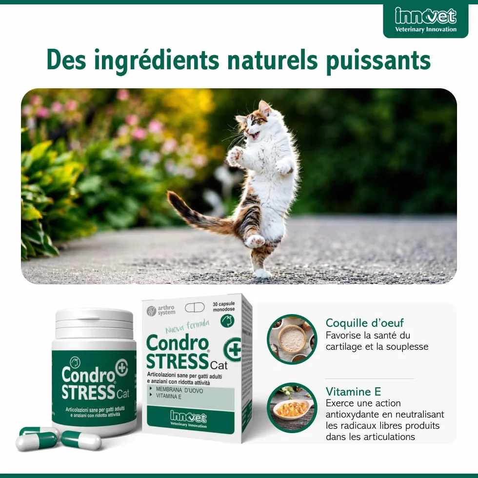 Innovet Condrostress Cat Complément Alimentaire Articulaire pour Chats Adultes et Âgés, Confort Articulaire, Mobilité, Collagène, Chondroïtine, Acide Hyaluronique - 30 gélules