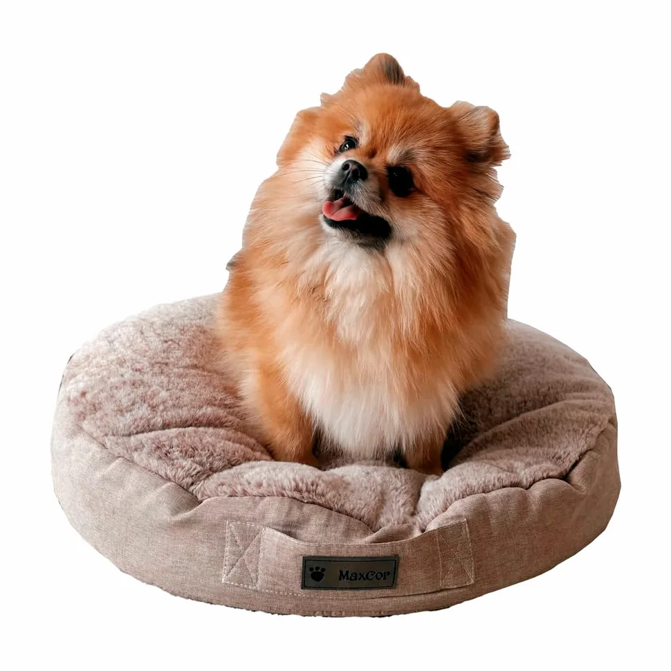MaxCor Coussin Chien et Chat Rond à Mémoire de Forme Orthopédique - Petit Beige - Soulage et Préserve Les articulations - Réversible Face Hiver, Face été - Ne se déforme Pas et Lavable en Machine