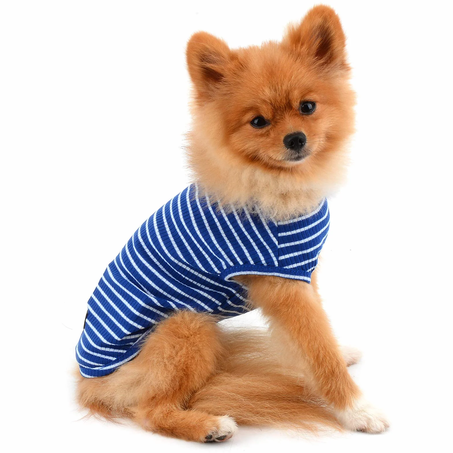 PAIDEFUL Vêtements pour Petits Chiens Garçon Fille été rayé Chiot t-Shirt Gilet Respirant Coton sans Manches Chihuahua Yorkshire Bleu M