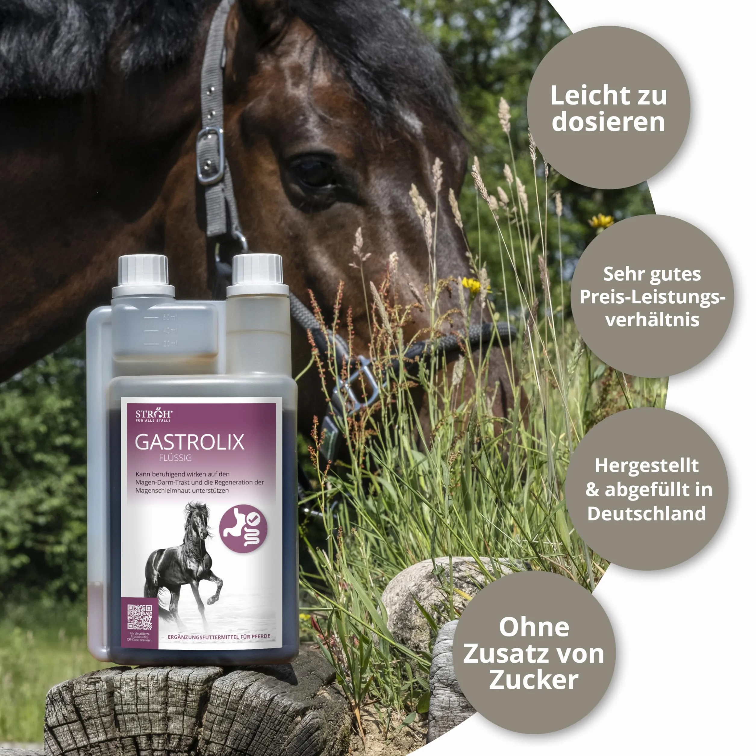 STRÖH Gastrolix (1 l) • Stabilisation du tractus gastro-intestinal pour chevaux • Herbes gastriques pour chevaux • Jus gastrique pour chevaux sans sucre • Protection naturelle de l'estomac pour les