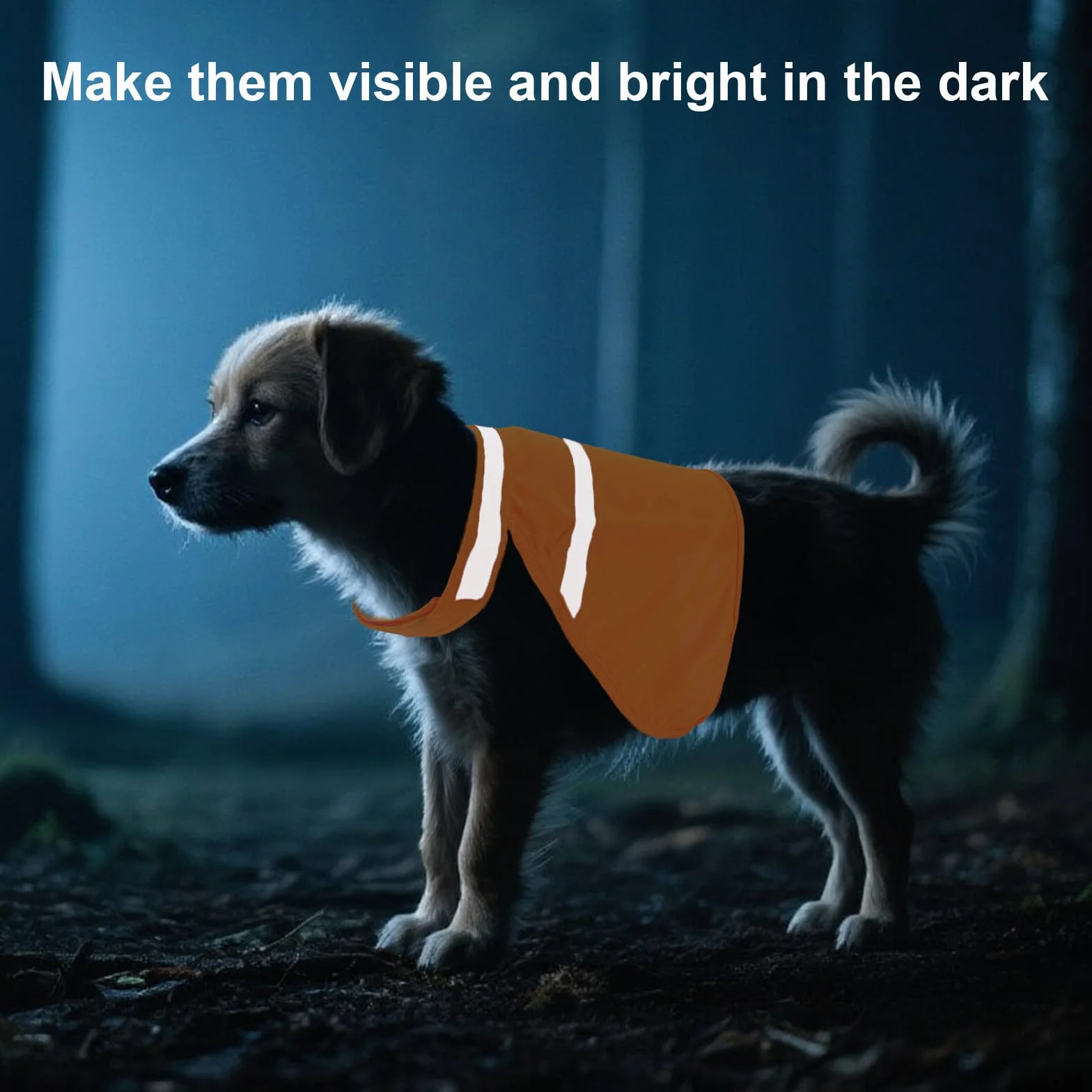 Gilet Réfléchissant pour Chien, Petite Taille, Orange Vif, Haute Visibilité, pour Extérieur Jogging Chasse