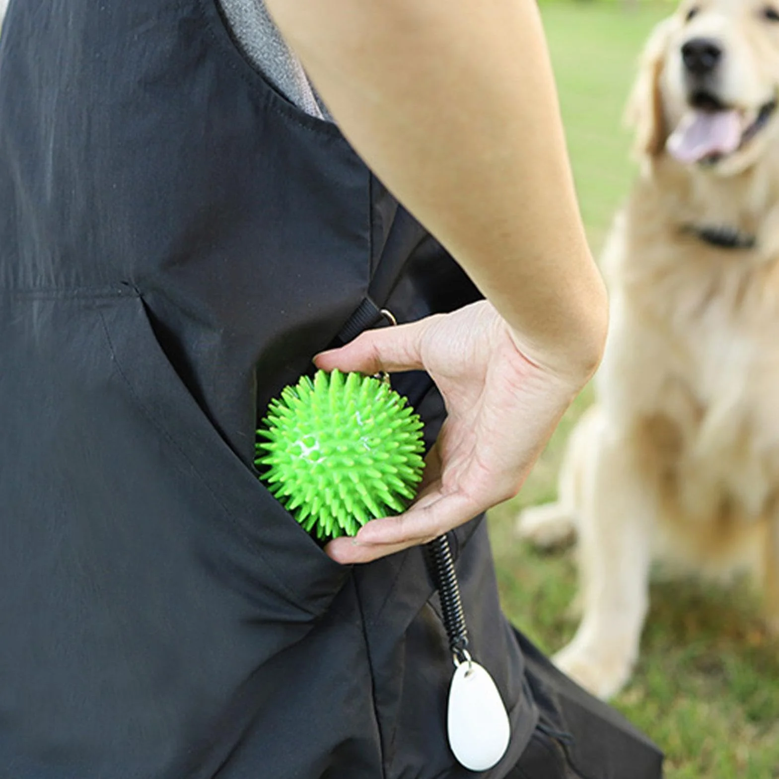 Gilet de Dressage pour Chien, Tissu de Protection avec Boutons réglables