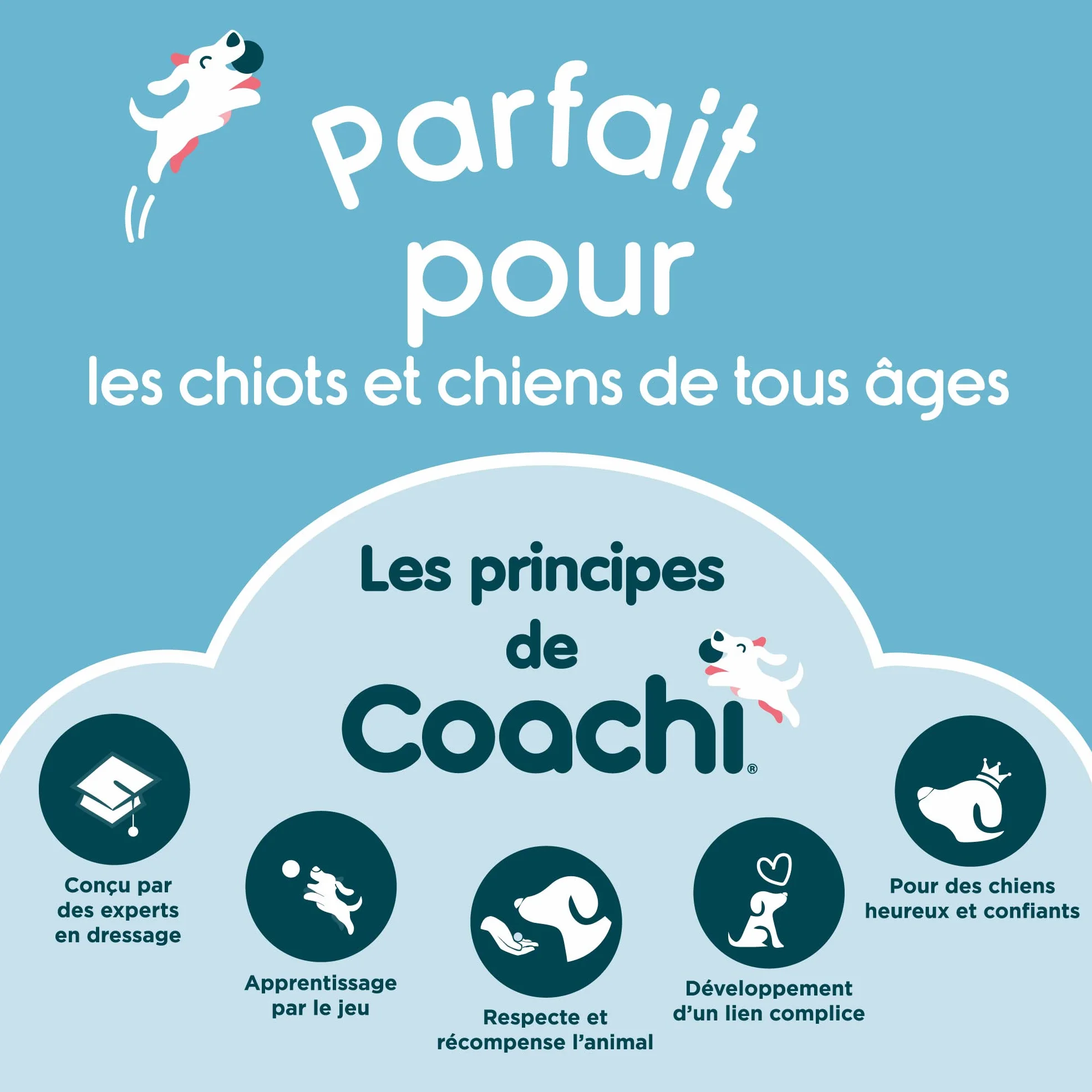 Target Stick Coachi, conception télescopique avec grande balle cible, accessoire pour chien pour le dressage au clicker et à l’agilité, apprentissage d’ordres et tours, adapté aux chiens et aux chiots