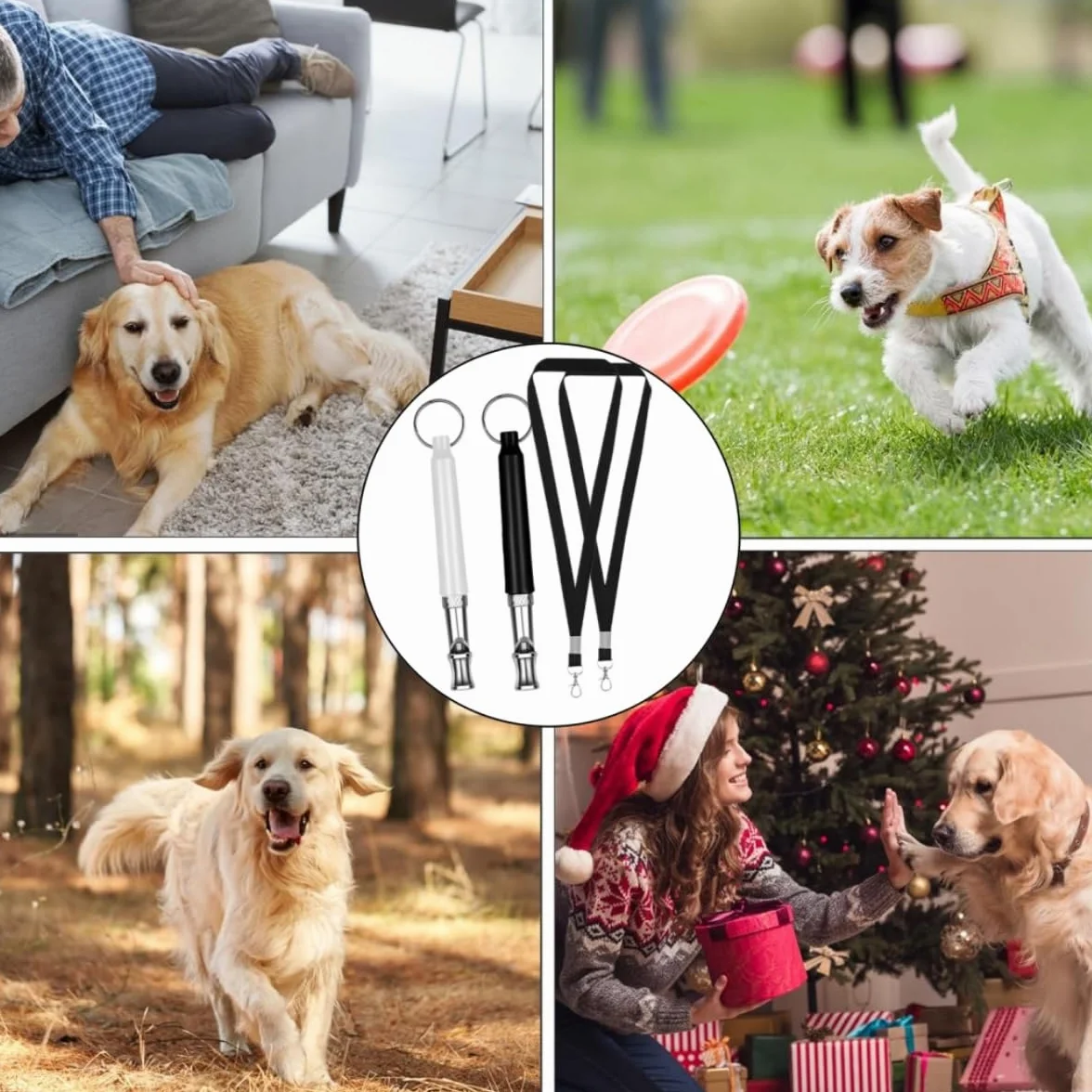 Sifflet à Ultrasons pour Chien Silencieux 2 Pièces Anti Aboiement Haute Fréquence Réglable avec Lanière Dressage Rappel