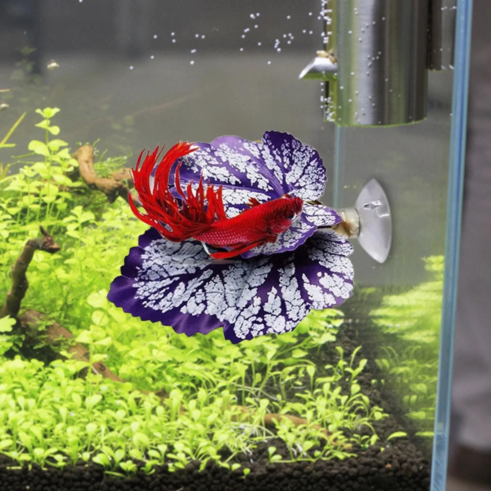 XIAOXIAOYU Feuille de Repos pour Poisson Betta, Coussinet de Feuilles Flexible et Sûr pour Aquarium
