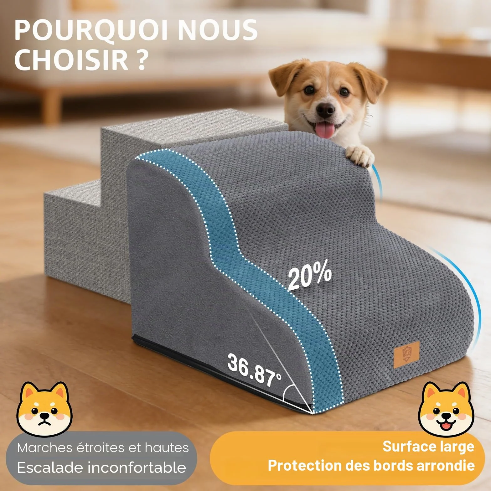 Escalier pour Chiens et Chats 2 Marches, Rampe pour Animaux en Mousse Haute Densité avec Couvercle Amovible