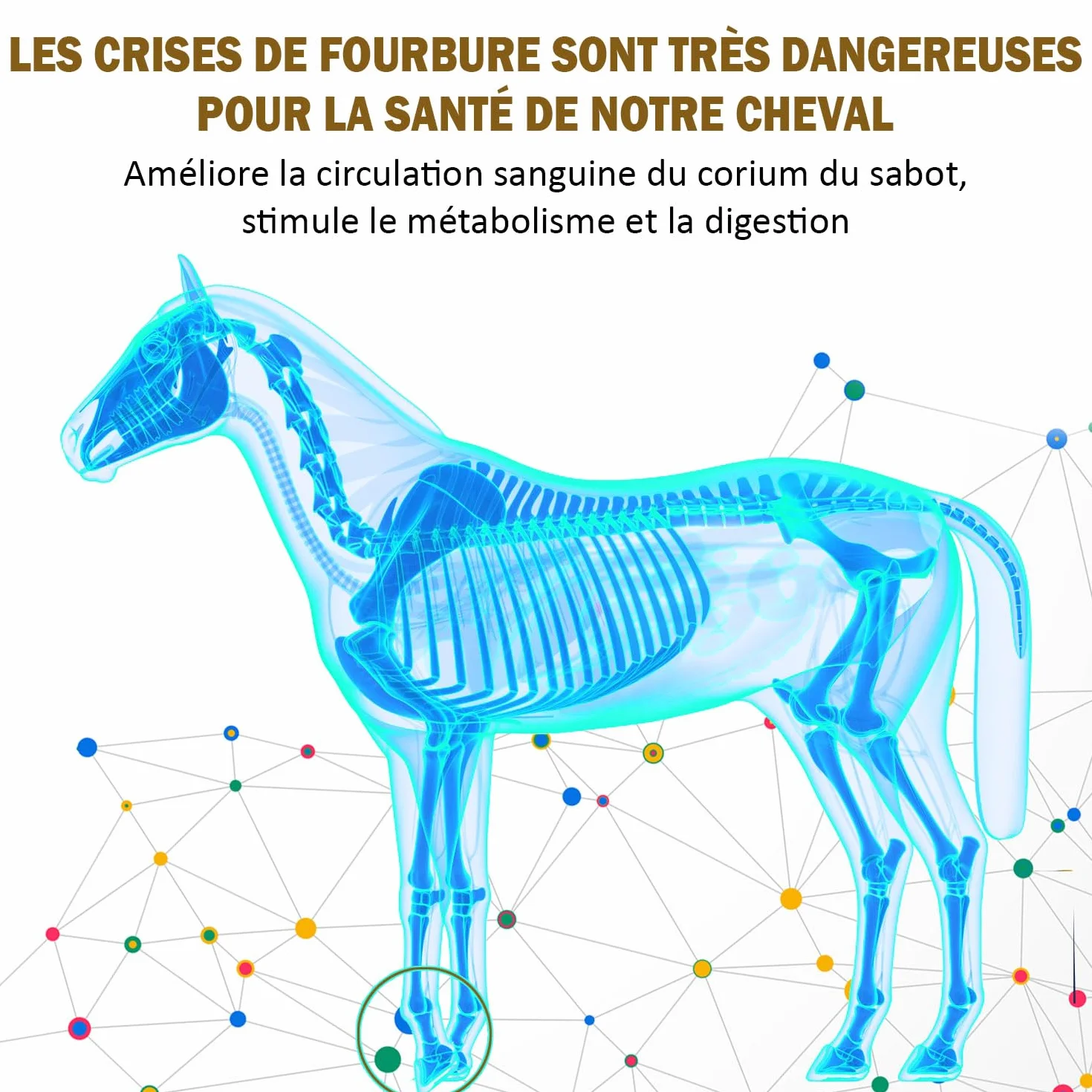 V-POINT REHE Plus poudre pour crises de fourbure aiguës prévention irrigation sanguine sabot cynorrhodon chardon-marie spiruline 450 g