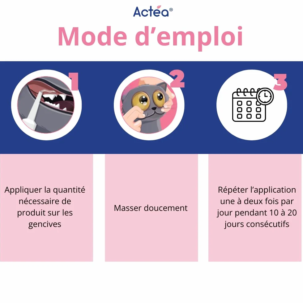 Anidev Actéa Buccal Gel apaisant gencives Chien Chat Hygiène bucco Dentaire 15 ML