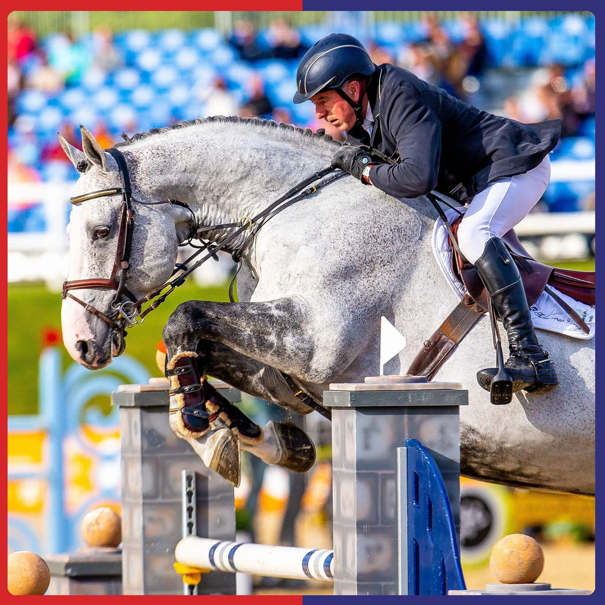 Equine America Cortaflex Poudre Régulière Supplément Cheval & Poney 900g