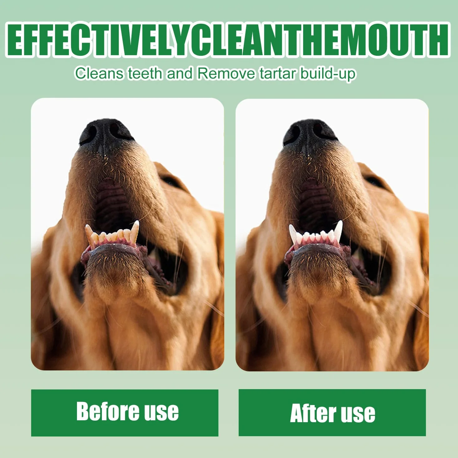 Dentifrice Chien Chats Spray Dentaire Soins Dentaires Sans Rinçage Élimine Plaque Haleine Fraîche 30ml
