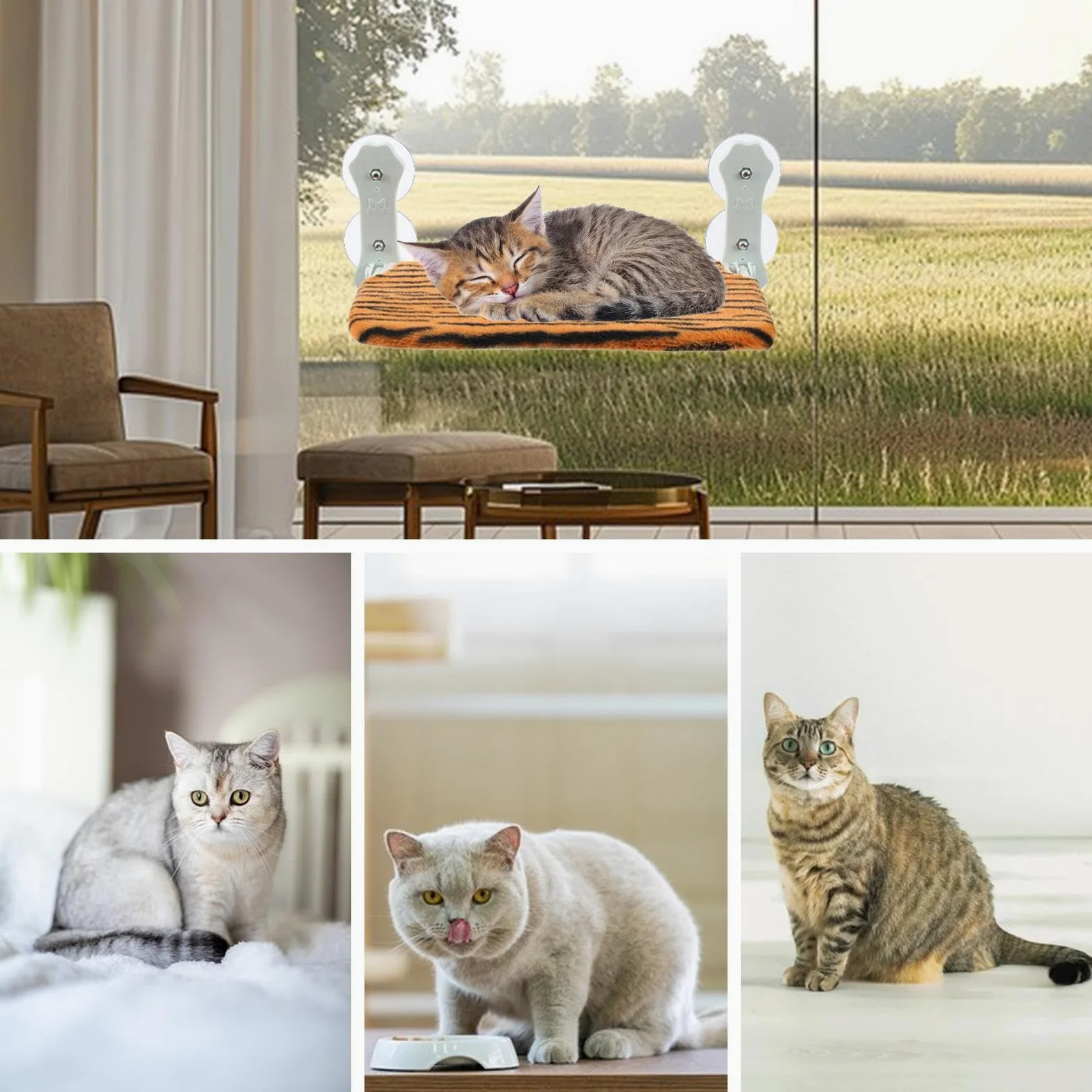 Perchoir De Fenêtre pour Chat Siège Pliable sans Cordon Doux Respirant | Couchette Avec Ventouses Puissantes Accroche Fenêtre Destiné Aux Animaux De Toutes Tailles En Intérieur Sur