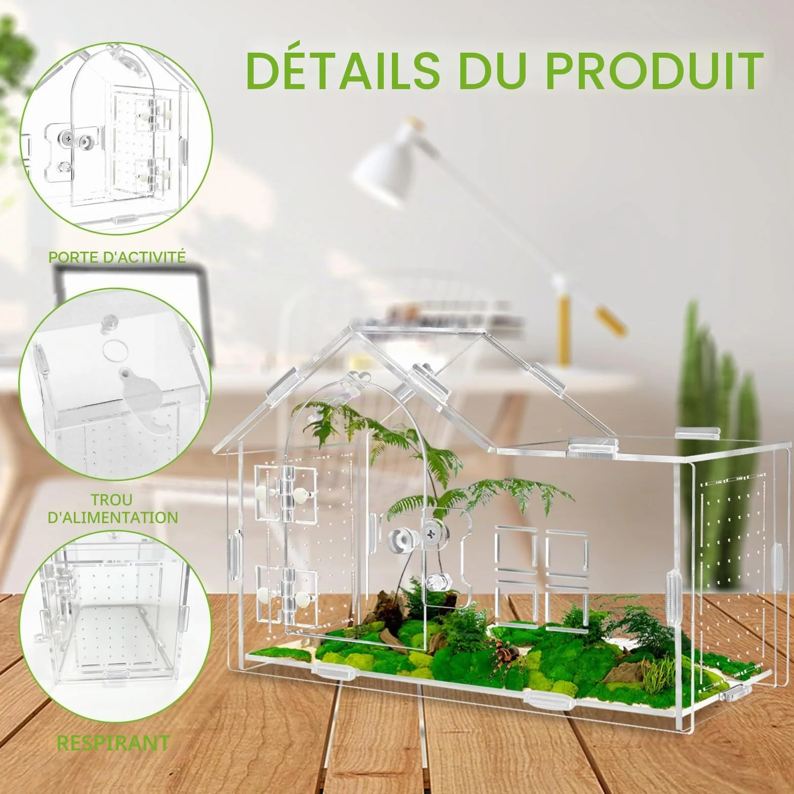 Terrarium acryl pour araignées sauteures tarentule gecko