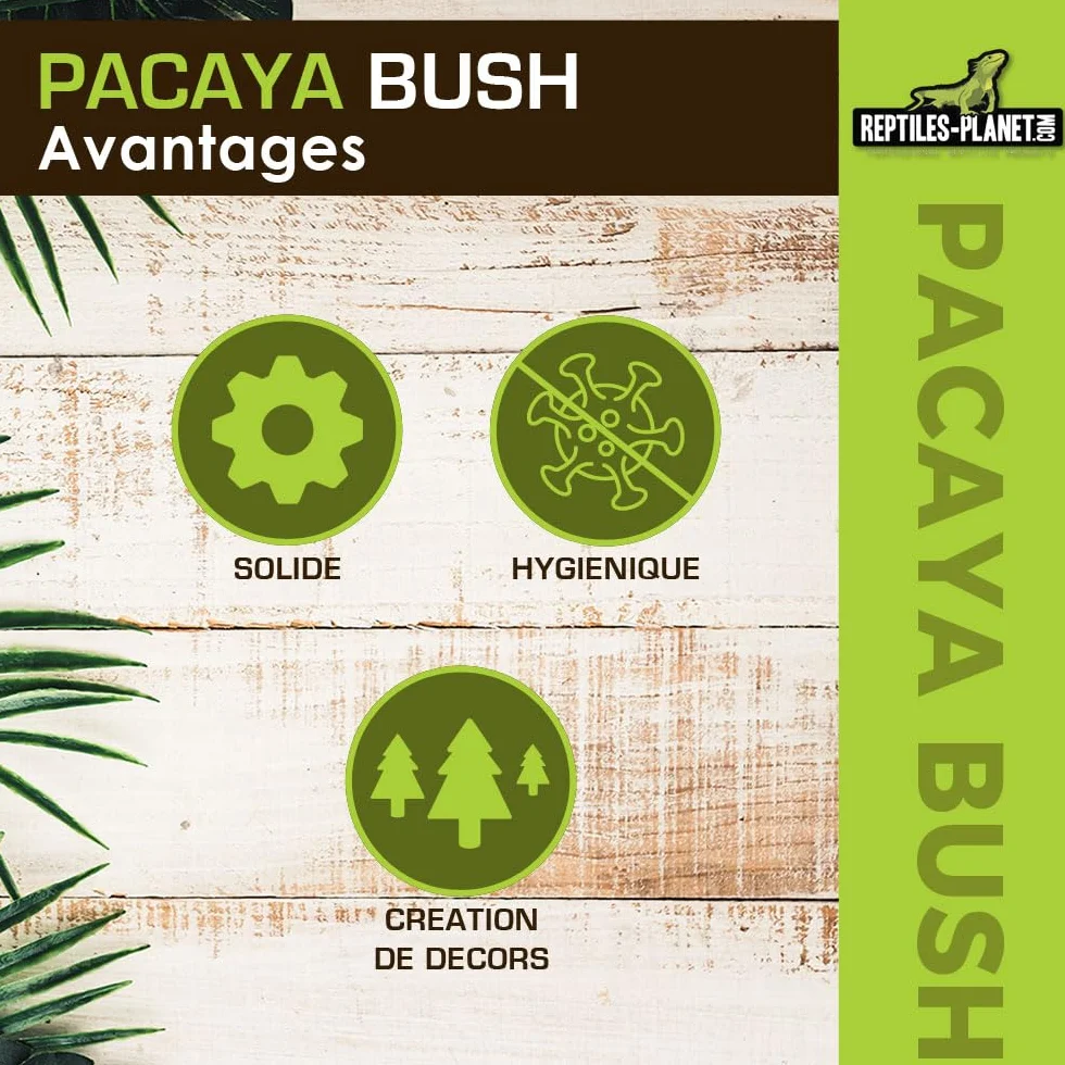 REPTILES PLANET - Pacaya Bush- Plante Artificielle - Décoration pour Terrarium - 20 cm