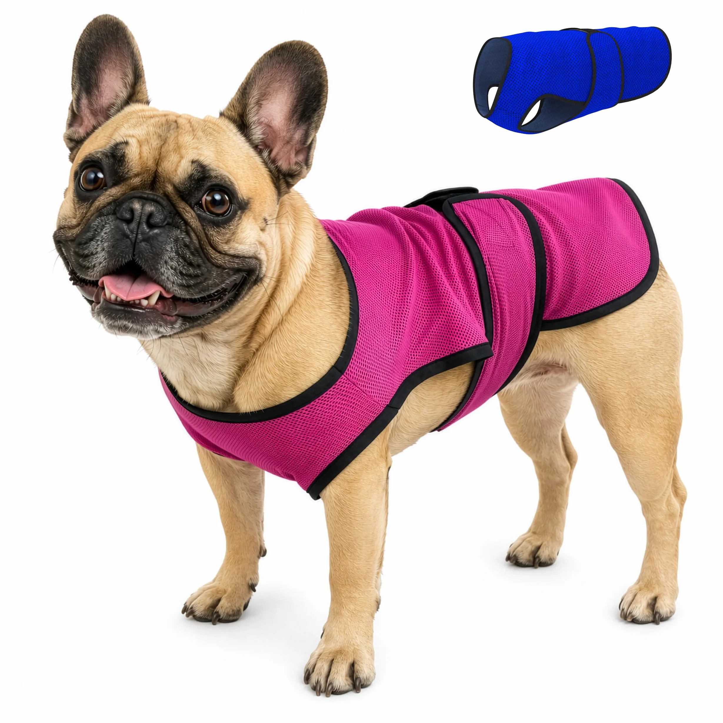 Gilet de Refroidissement pour Chien léger avec Technologie de Microfibre évaporative et Anti-UV, Taille pour Chiens Petits, Moyens et Grands, (M, Rose Rouge)