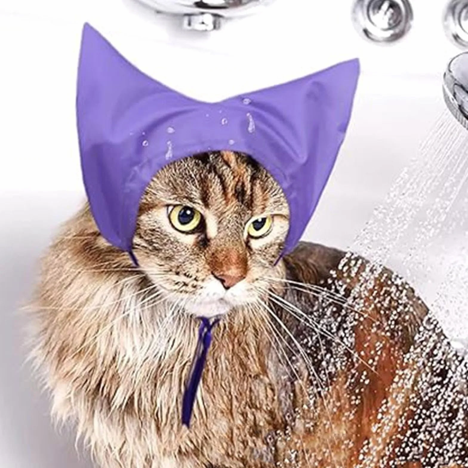 Bonnet de bain imperméable pour chats protection oreilles animaux domestiques