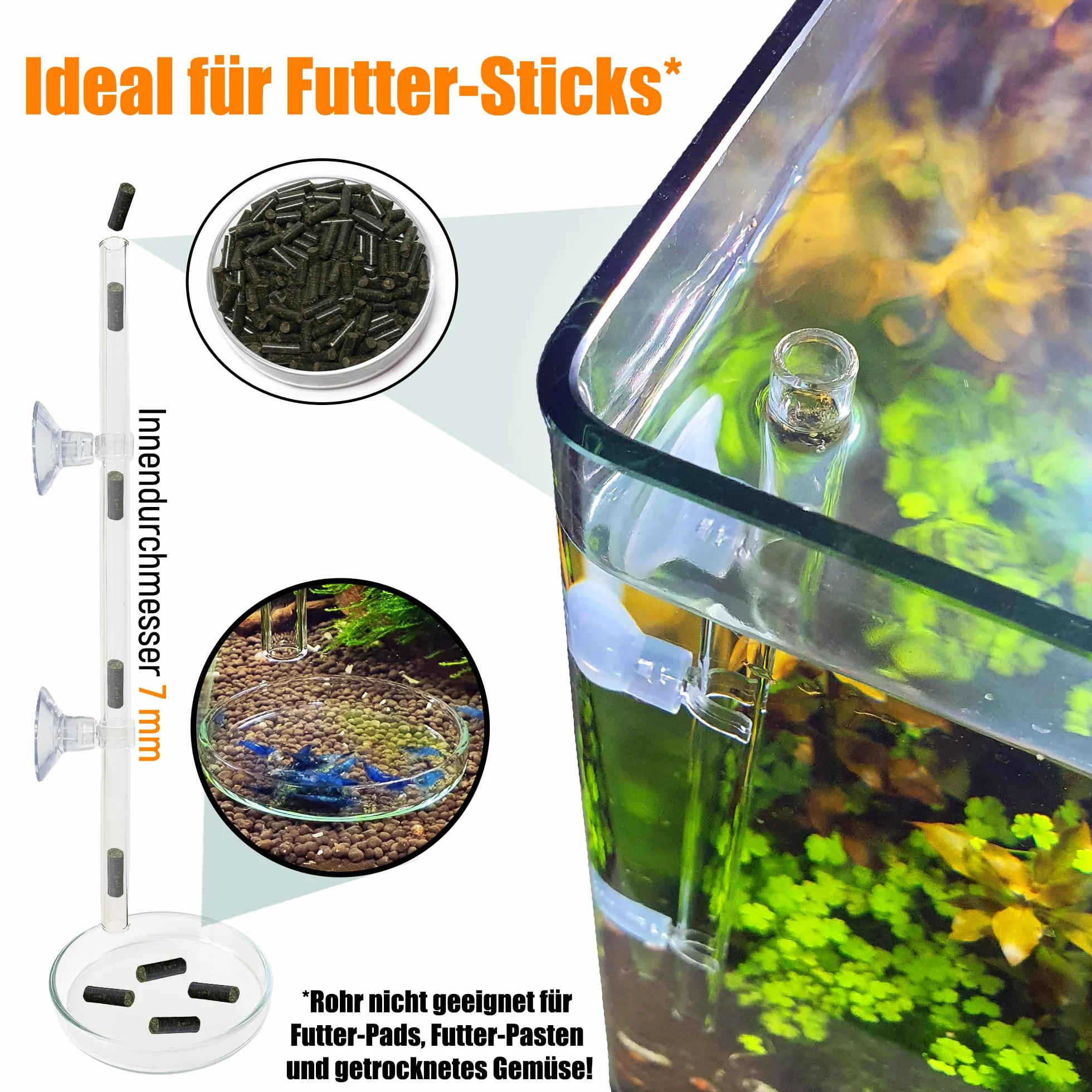 Tube d'alimentation en verre de laboratoire 28 cm – Fabriqué en Allemagne – Mangeoire pour crevettes – Verre incassable