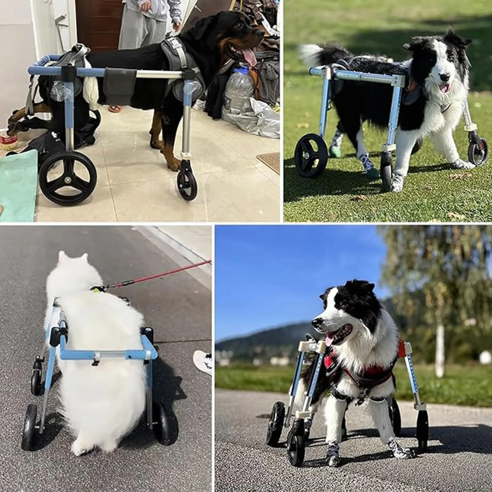 Fauteuil Roulant Pour Chien 4 Roues Attelle Marcheur Handicapé Aide Marche Animaux XL Bleu