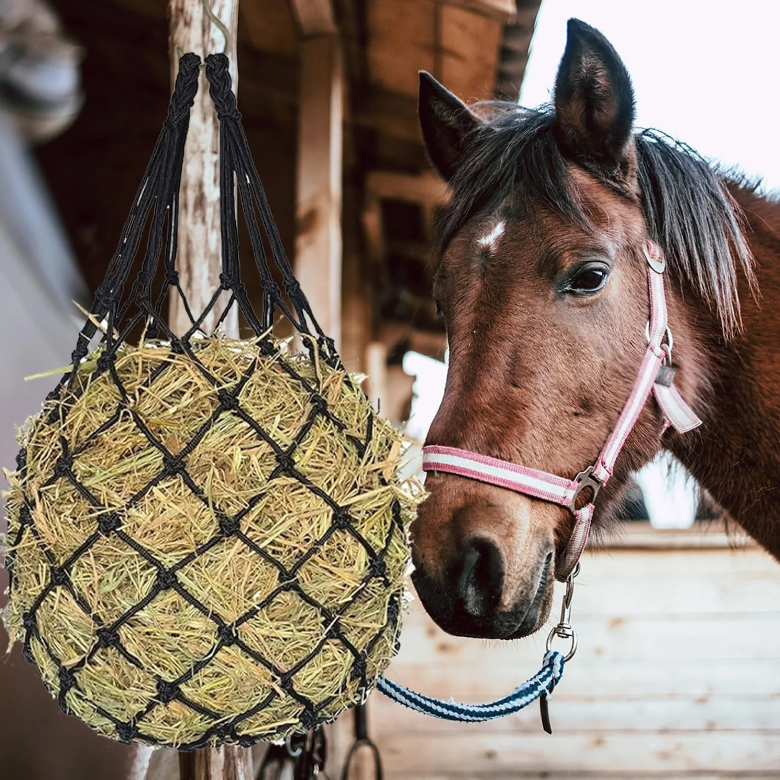 Filets à Foin Cheval Mailles Fines 5x5cm Portable Robuste Réduit Gaspillage Aliments Noir