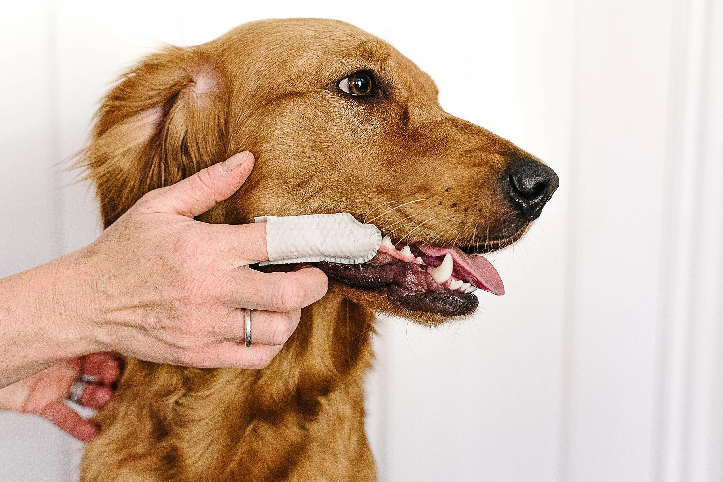 Lingettes dentaires à l'huile de Menthe Verte pour Chiens et Chats Pet Wiz