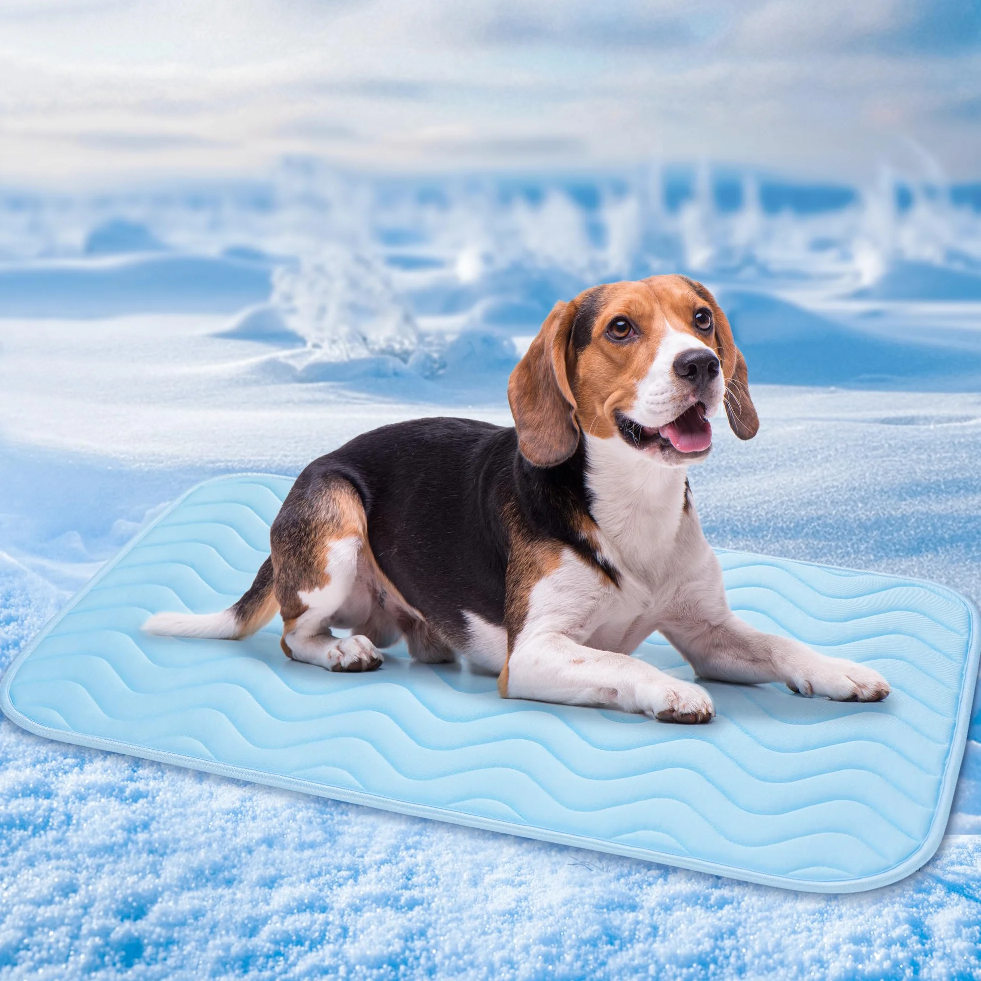 BaoDan Tapis Rafraichissant Chien Chat 75x50cm Soie Glacée Respirant Lavable Bleu