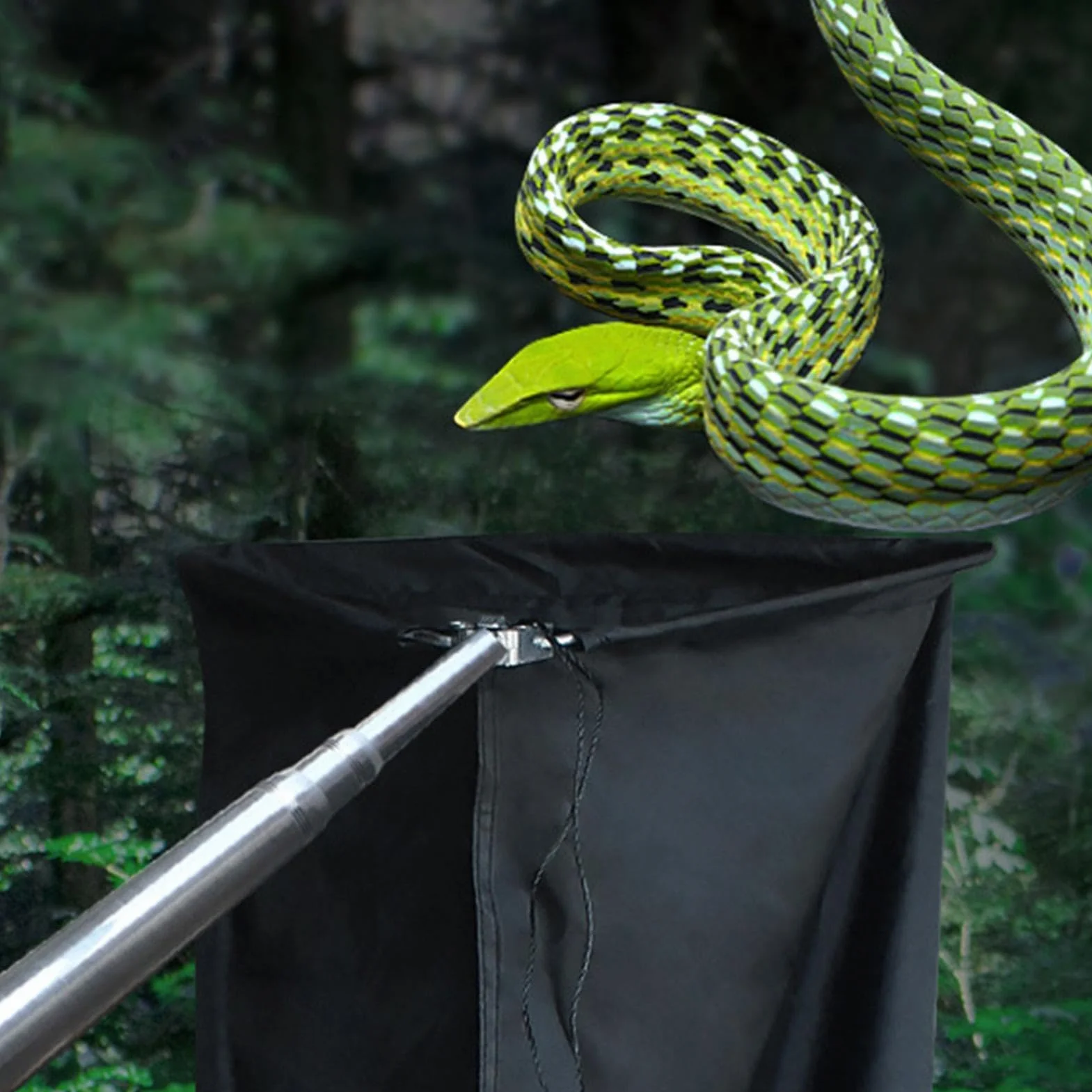 Filet de capture de serpent télescopique avec tige | Crochet serpent robuste pour serpent à sonnettes