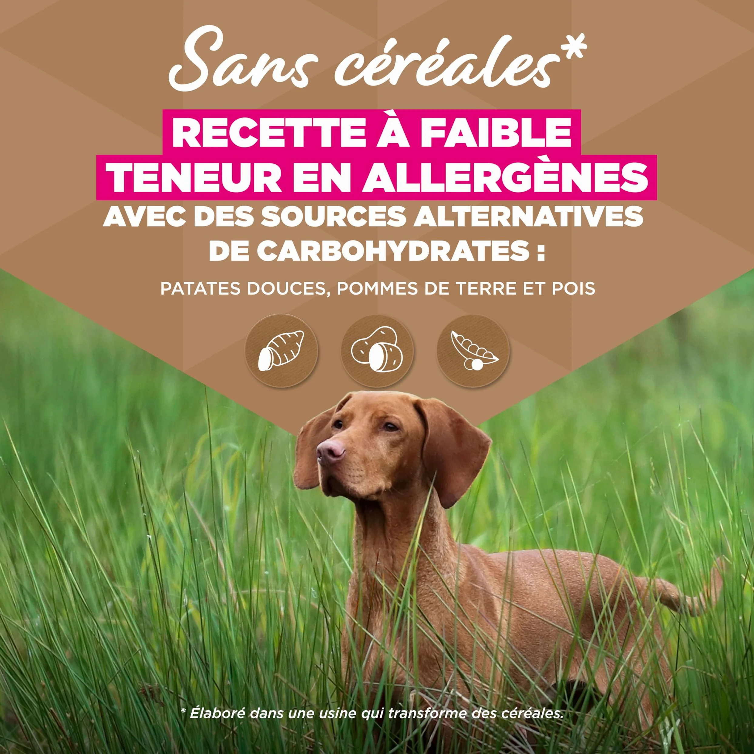EUKANUBA Chien Adulte Grande Race sans Céréales Agneau 12 kg