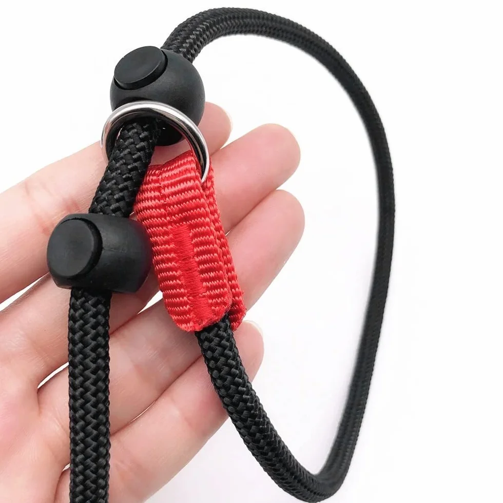 Laisse Dressage Rembourrée Corde,1,4 m Laisse de Contrôle Professionnelle avec 2 Poignées pour Chien Chiots de Petite Taille Moyenne