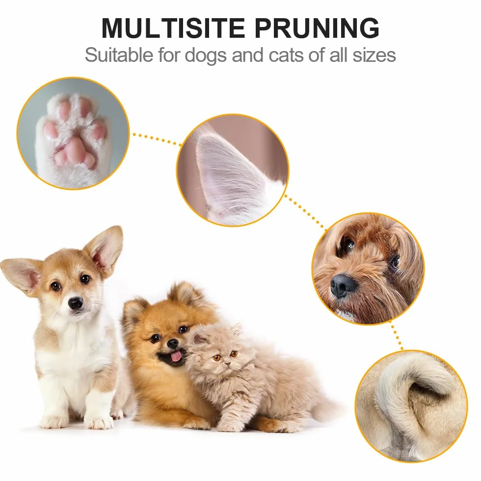 Tondeuse électrique Chien Faible Bruit Lumière LED Rasoir Chat étanche USB
