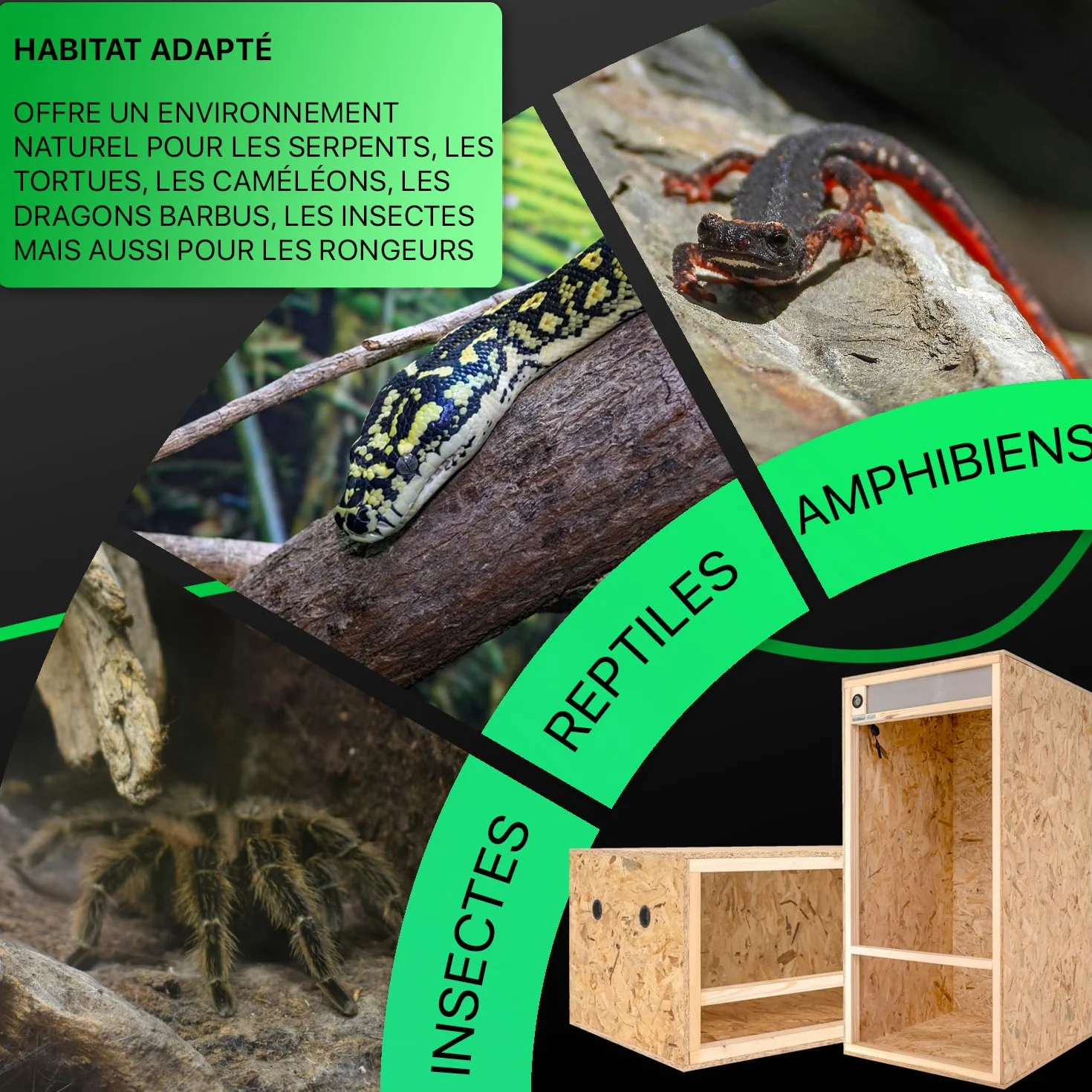 Terrarium Bois 120x60x60 cm OSB-3 avec Ventilation latérale & hygromètre intégré pour Reptiles Serpents Amphibiens
