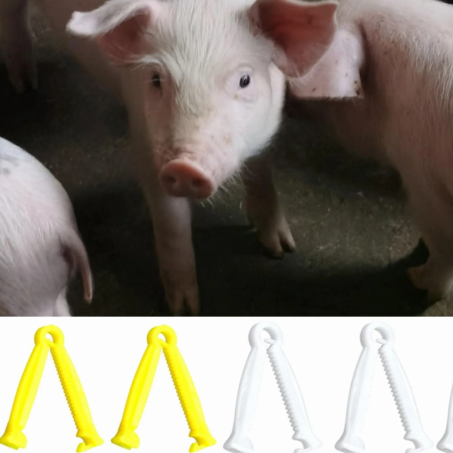 CANGCANG 20 Pièces Pinces Cordon Ombilical, Clip Plastique pour Mise Bas Animaux