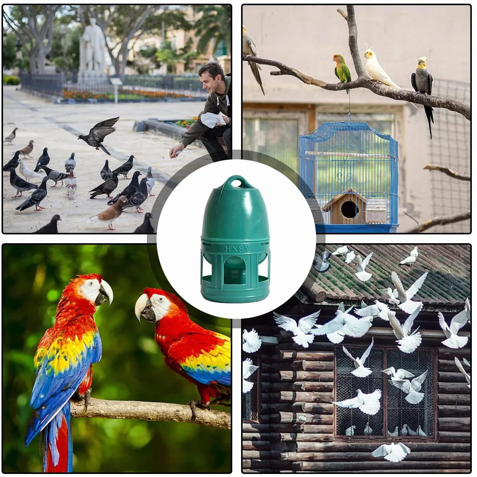 Abreuvoir pour Pigeons et Volailles - Capacité 3/5 L - Distributeur d'Eau avec Poignée de Transport