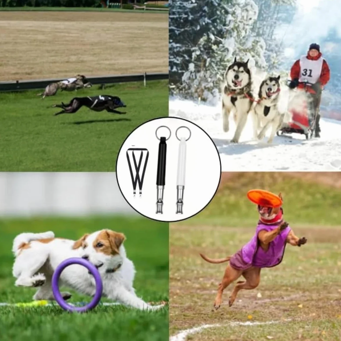 Sifflets Ultrasons pour Chien Anti Aboiement Dressage Haute Fréquence Réglable Lot de 2