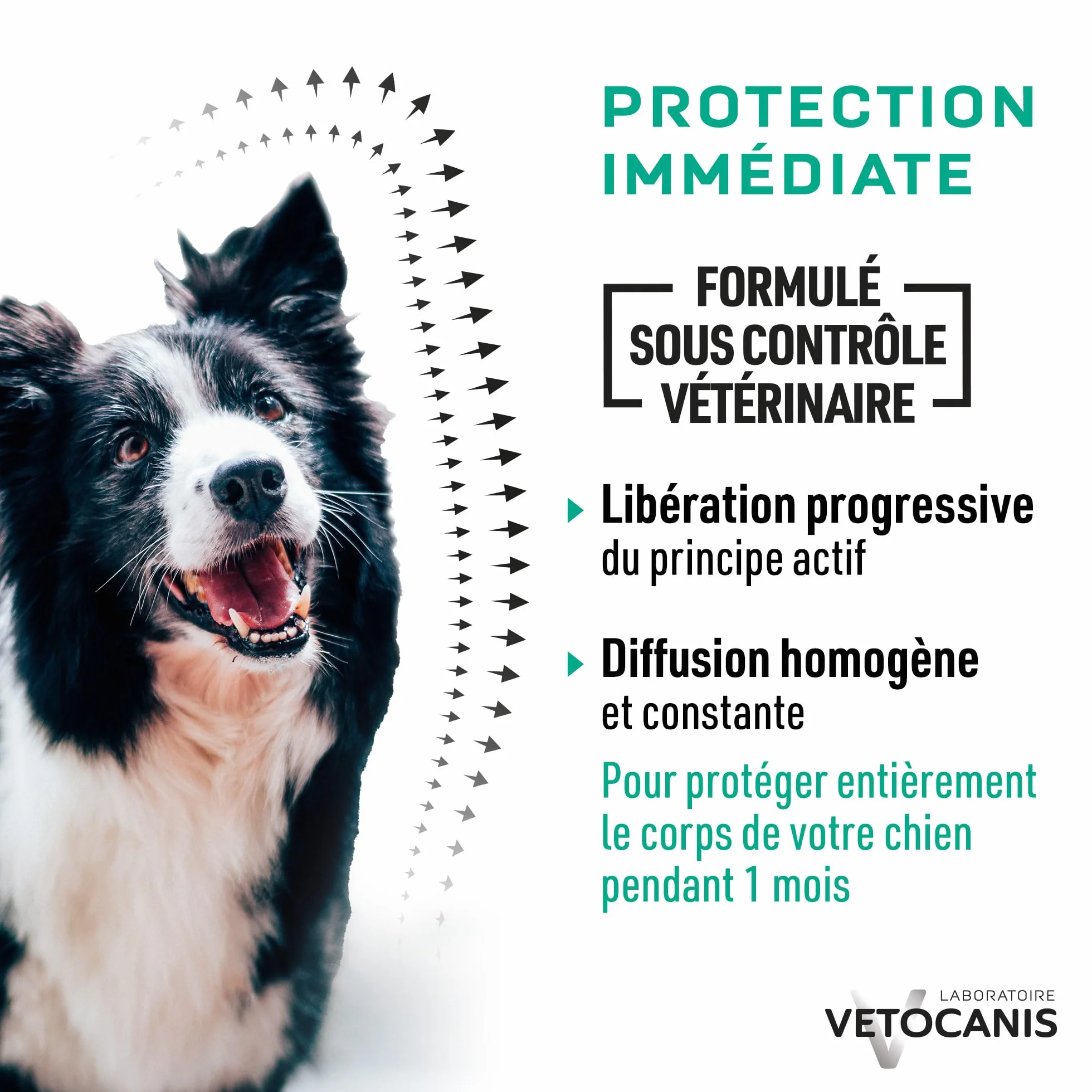 Vetocanis, Pipettes Anti Puces Chien, 2x1 Mois sans Tiques, Puces, Moustiques, Antiparasitaire Chien 2 à 10 kg, A base de Margosa, Répulsif Protection Immédiate, 2 Pipettes de 2 mL