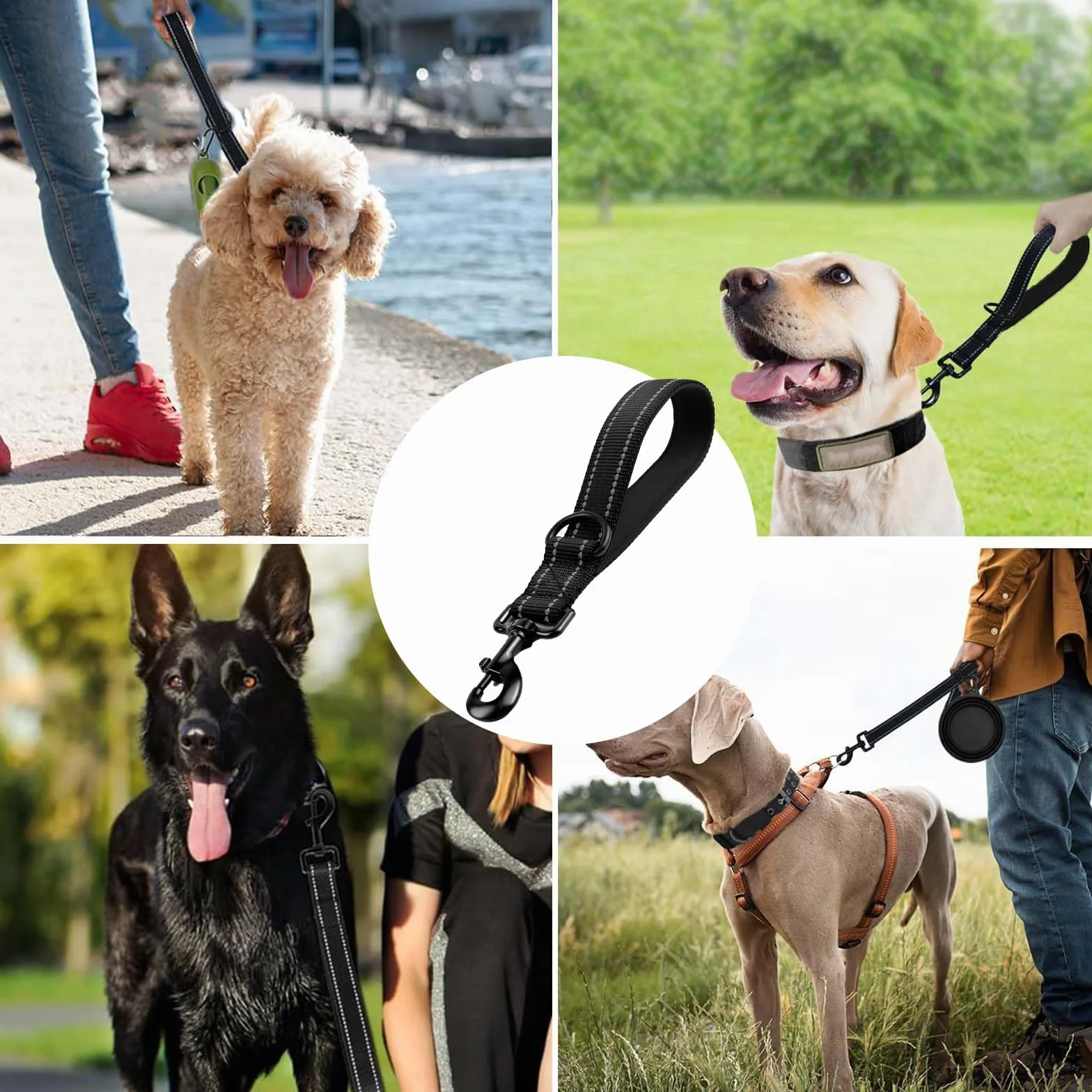 Laisse pour Chien 30 cm Nylon réfléchissante Clip métal Rembourrage Doux Orange Taille S