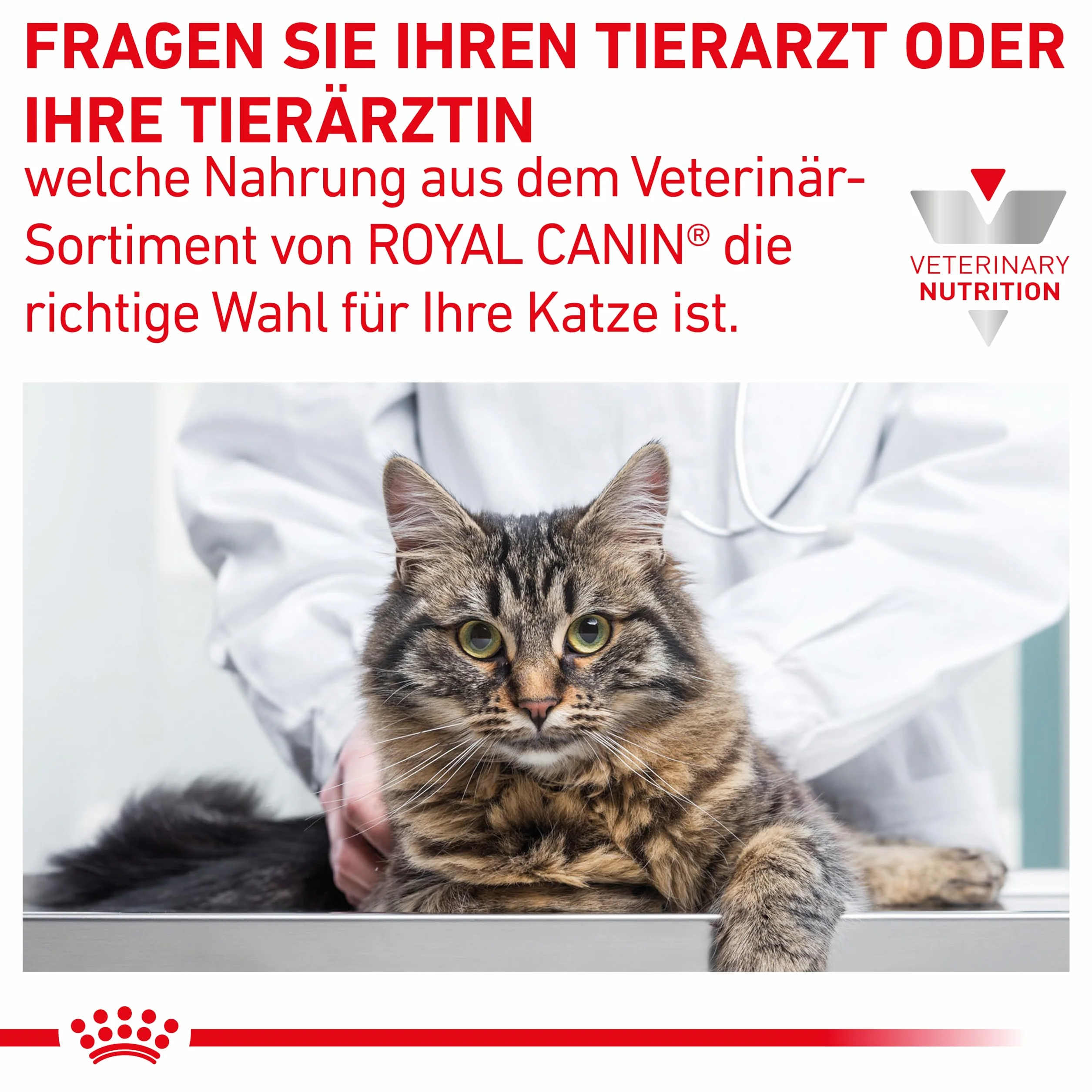 Royal Canin Veterinary Gastrointestinal Moderate Calorie 4 kg Nourriture Sèche pour Chats